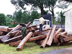 Ảnh bìa bài viết 398130