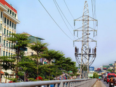 Ảnh bìa bài viết 398147