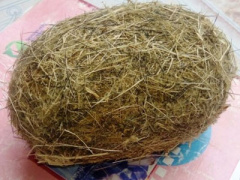 Ảnh bìa bài viết 398064