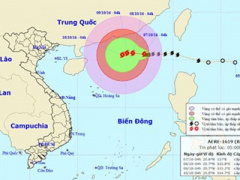 Ảnh bìa bài viết 398065