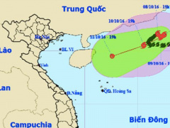 Ảnh bìa bài viết 398468
