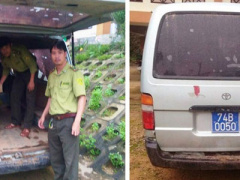 Ảnh bìa bài viết 398317