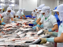 Ảnh bìa bài viết 398439