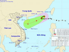 Ảnh bìa bài viết 398633
