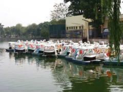 Ảnh bìa bài viết 398601