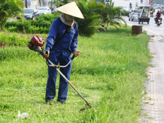 Ảnh bìa bài viết 398665
