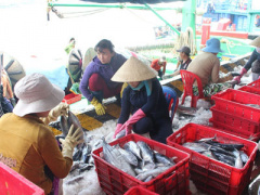 Ảnh bìa bài viết 398981