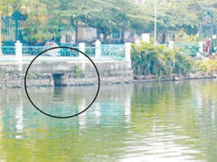 Ảnh bìa bài viết 398990