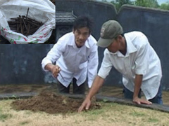 Ảnh bìa bài viết 399245