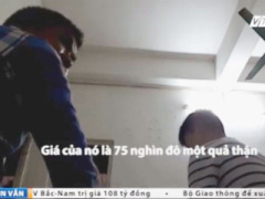 Ảnh bìa bài viết 399243