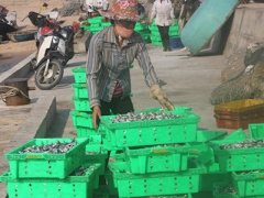 Ảnh bìa bài viết 399277
