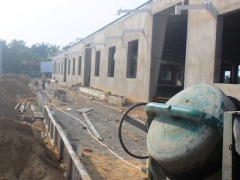 Ảnh bìa bài viết 399559