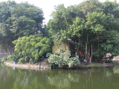 Ảnh bìa bài viết 399684