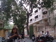 Ảnh bìa bài viết 399836