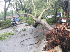 Ảnh bìa bài viết 399967