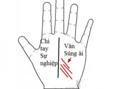 Ảnh bìa bài viết 400009