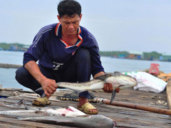 Ảnh bìa bài viết 400111