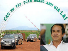 Ảnh bìa bài viết 400221