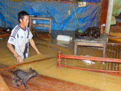 Ảnh bìa bài viết 400798