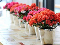 Ảnh bìa bài viết 400660