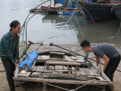 Ảnh bìa bài viết 401065