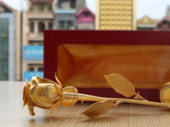 Ảnh bìa bài viết 401174