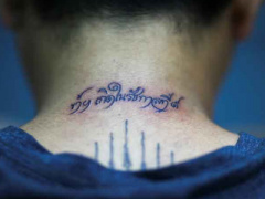 Ảnh bìa bài viết 401284