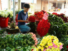 Ảnh bìa bài viết 401332
