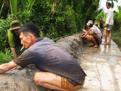 Ảnh bìa bài viết 401102