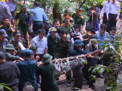 Ảnh bìa bài viết 401424