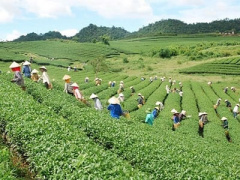 Ảnh bìa bài viết 401499