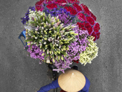 Ảnh bìa bài viết 401469