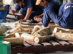 Ảnh bìa bài viết 401980