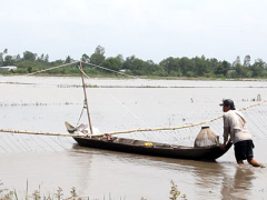 Ảnh bìa bài viết 402312