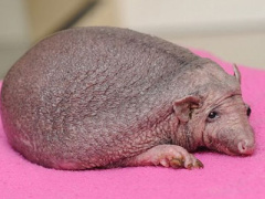 Ảnh bìa bài viết 402247