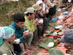 Ảnh bìa bài viết 402265