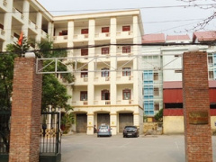 Ảnh bìa bài viết 402240