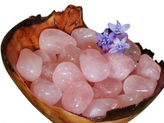 Ảnh bìa bài viết 402601
