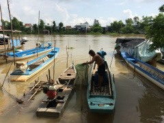 Ảnh bìa bài viết 402661