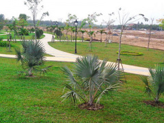 Ảnh bìa bài viết 402940