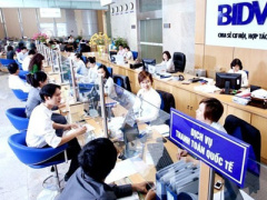Ảnh bìa bài viết 402875
