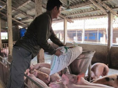 Ảnh bìa bài viết 403504