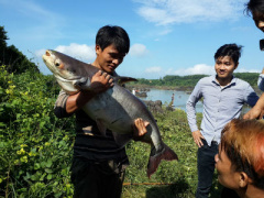 Ảnh bìa bài viết 403516