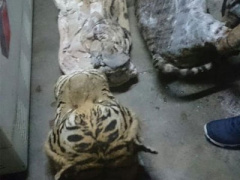 Ảnh bìa bài viết 403818