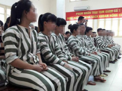 Ảnh bìa bài viết 403973