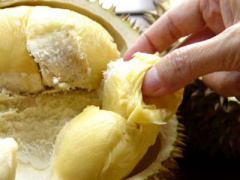 Ảnh bìa bài viết 404065