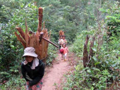 Ảnh bìa bài viết 404114
