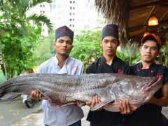 Ảnh bìa bài viết 404225