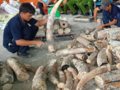 Ảnh bìa bài viết 404342