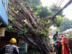 Ảnh bìa bài viết 404687